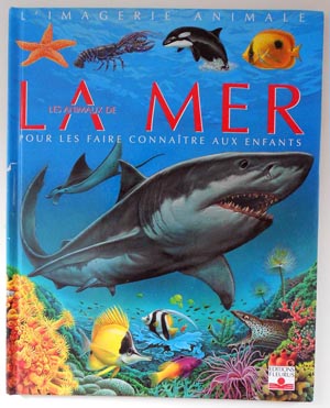 La grande imagerie de LA MER